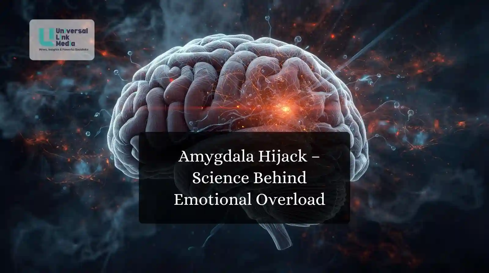 amygdala hijack